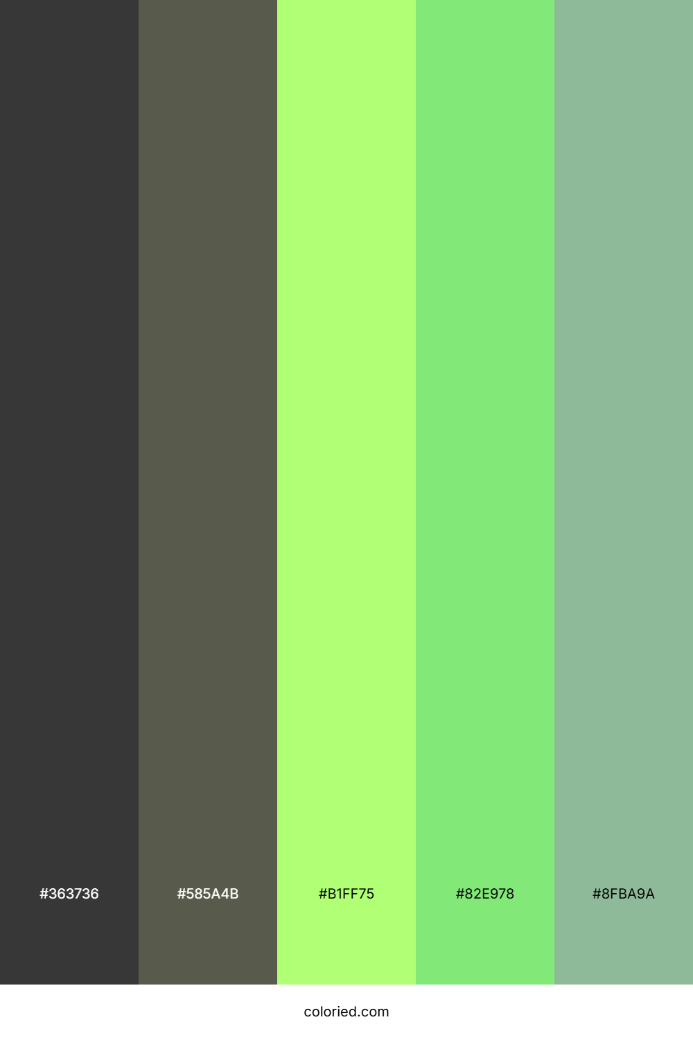 Shadow Fern Glow Color Palette