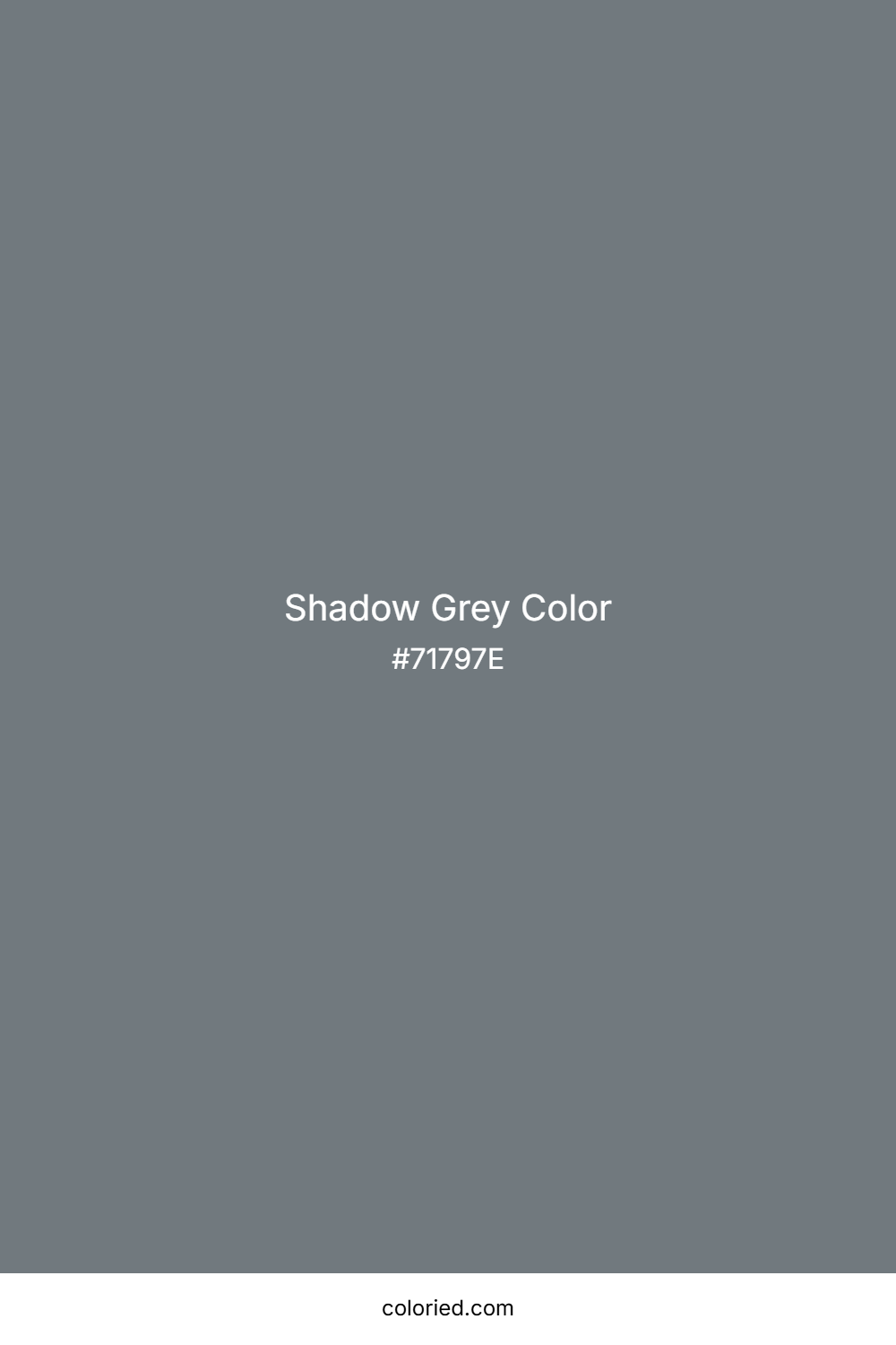 Shadow Grey Color