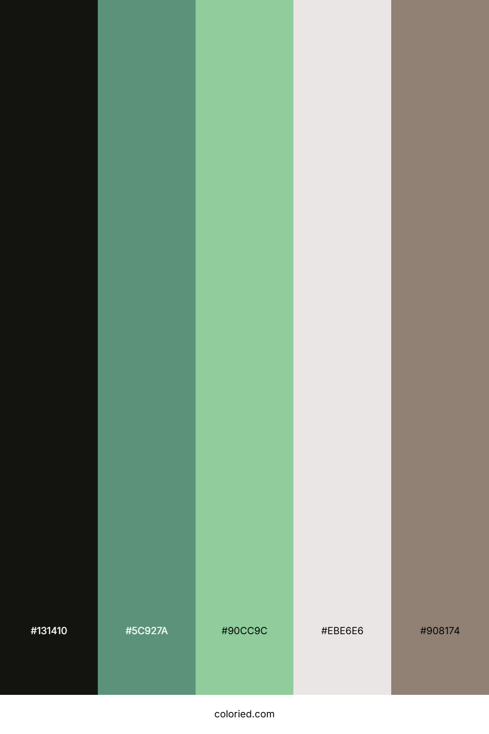 Shadow Mint Forest Color Palette