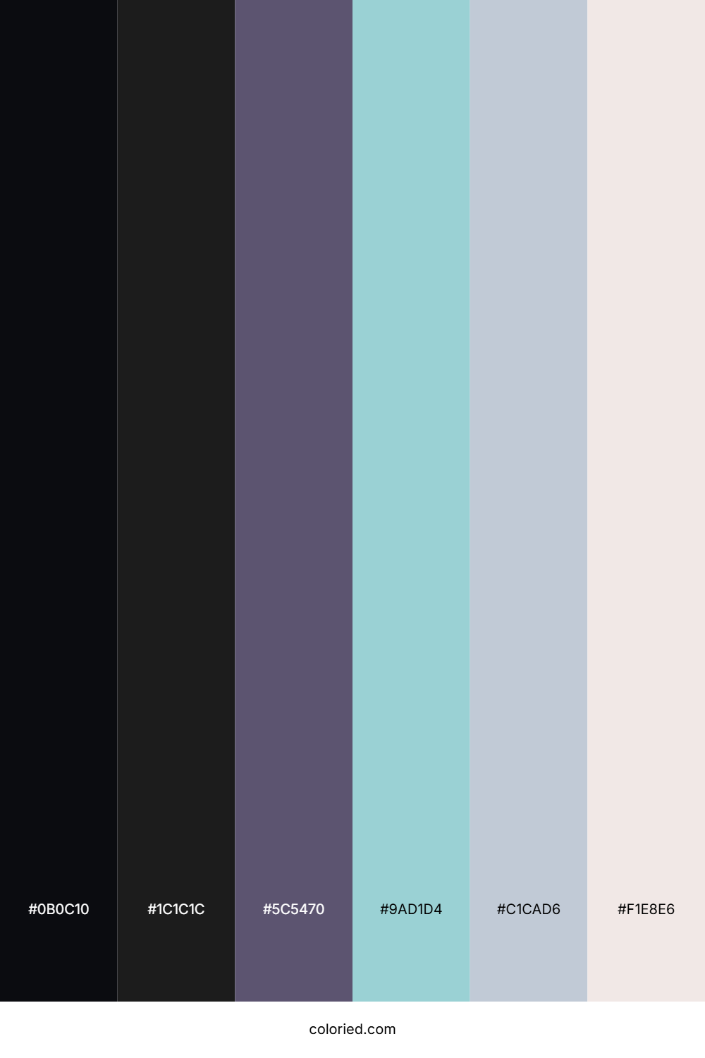 Shadow Mist Stone Color Palette