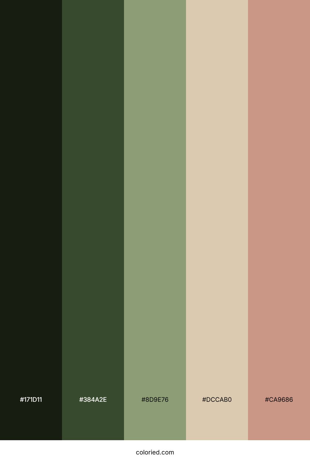 Shadowed Fern Glade Palette