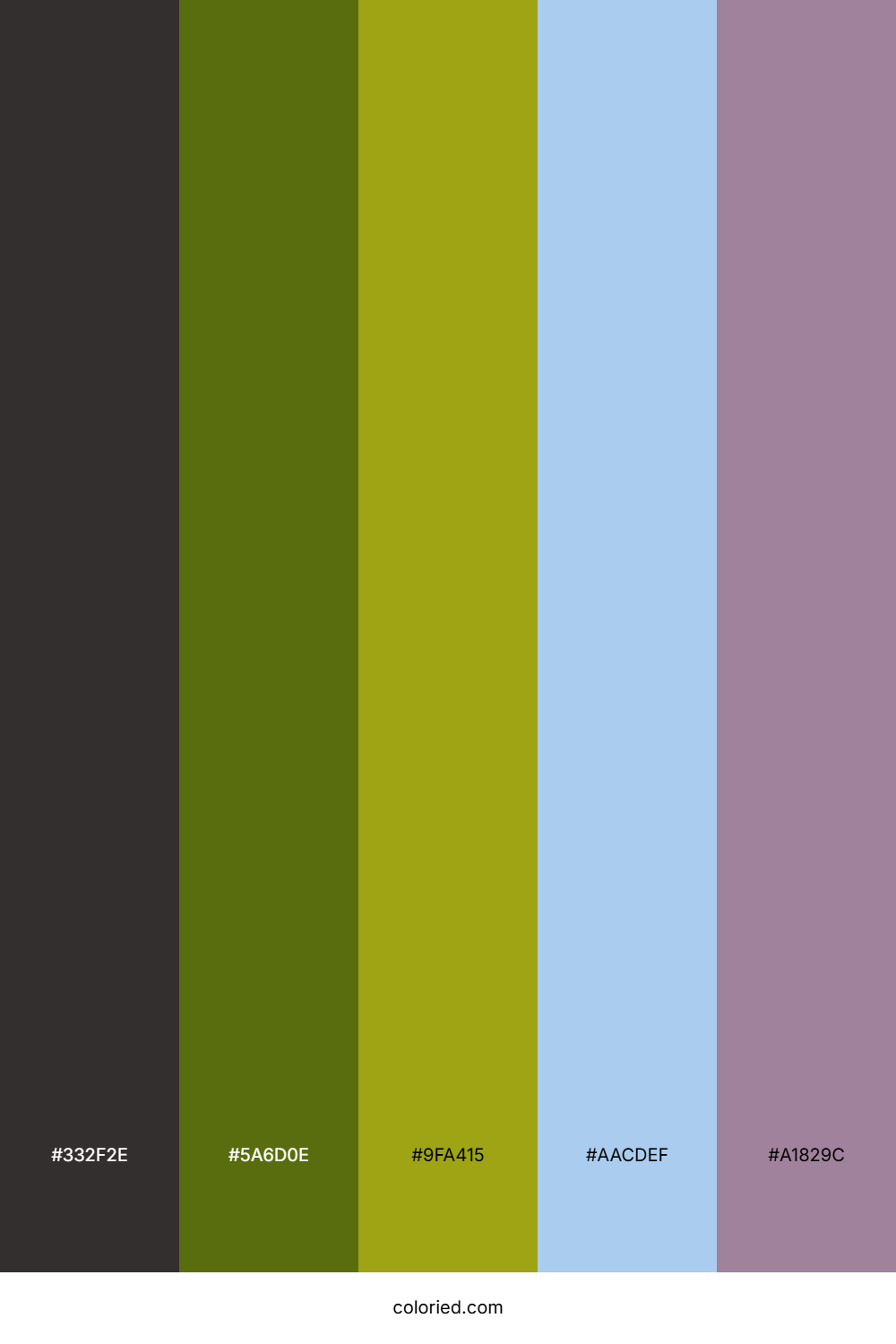 Shadowed Fern Sky Palette