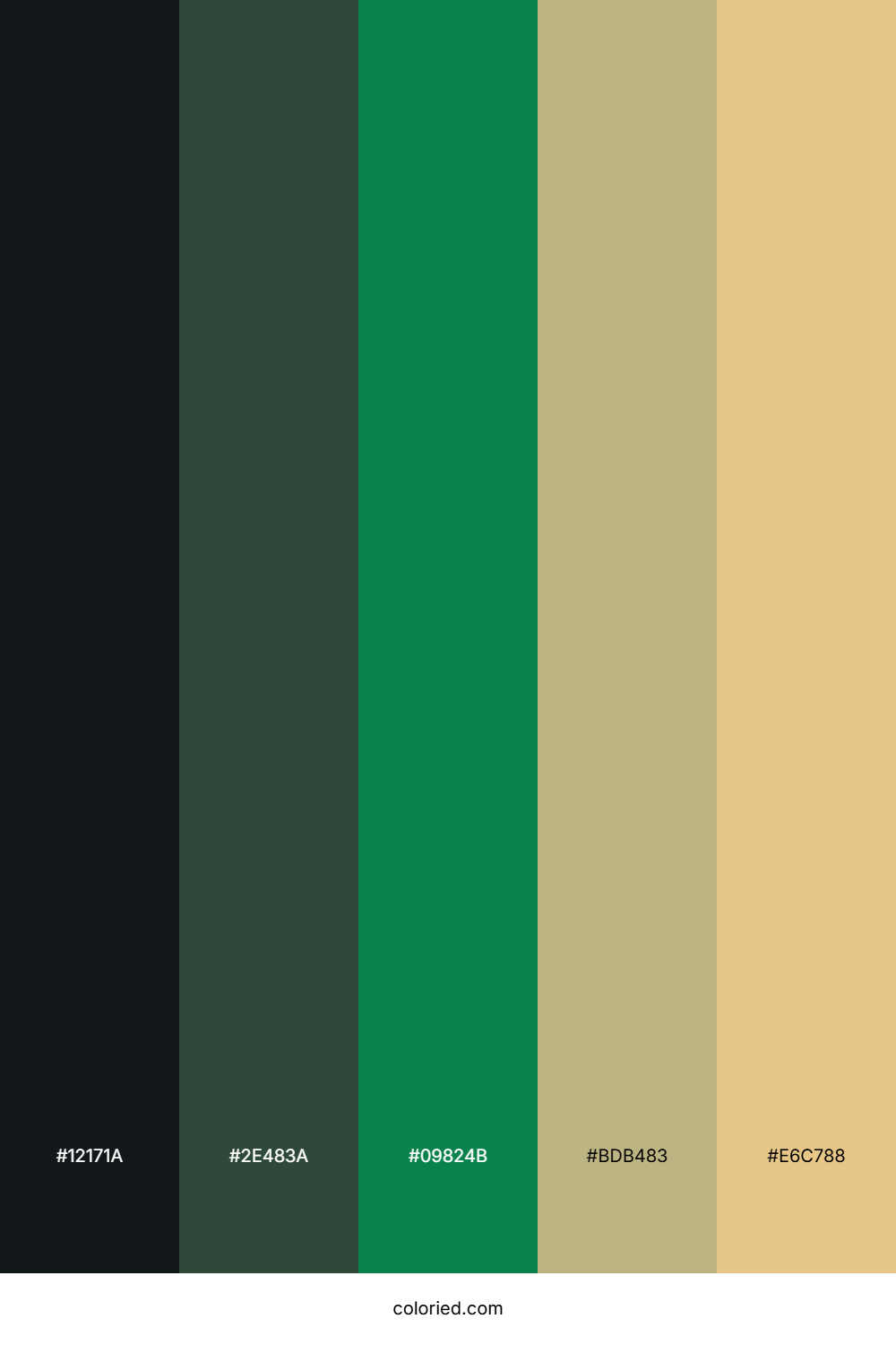 Shadowed Forest Path Palette