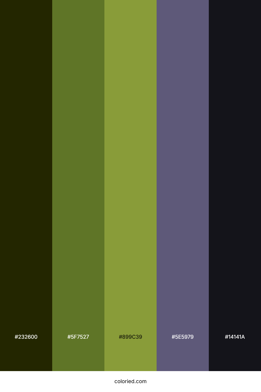 Shadowed Olive Fern Color Palette