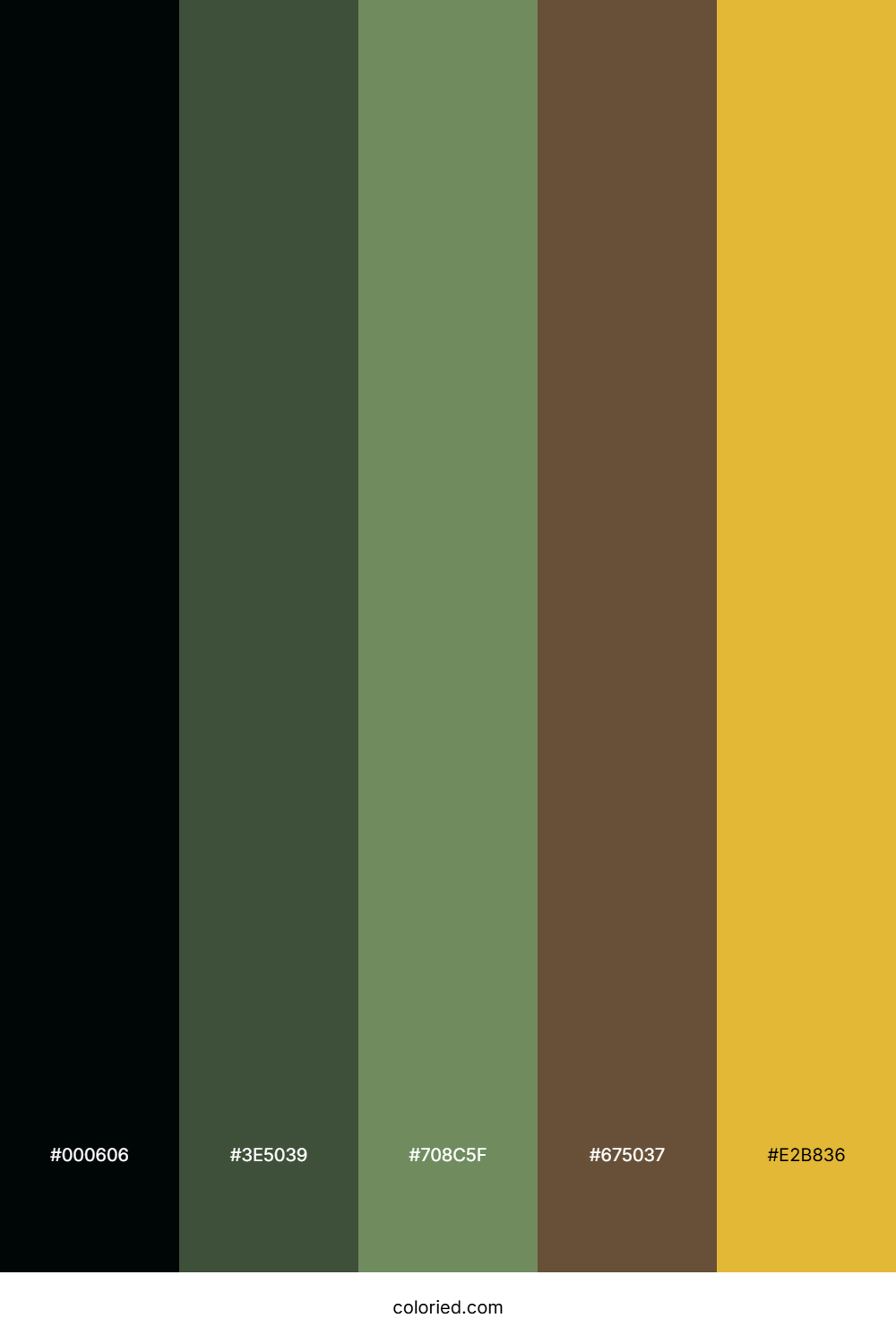 Shadowed Olive Grove Color Palette