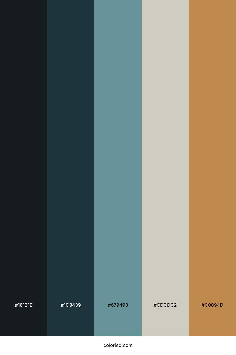 Shadowed River Bend Color Palette
