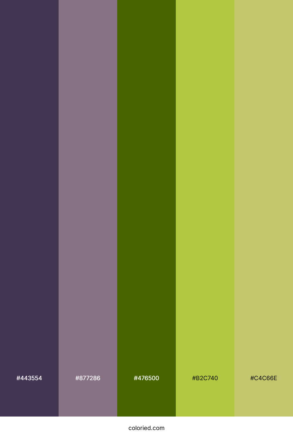 Shadowed Vine Meadow Color Palette