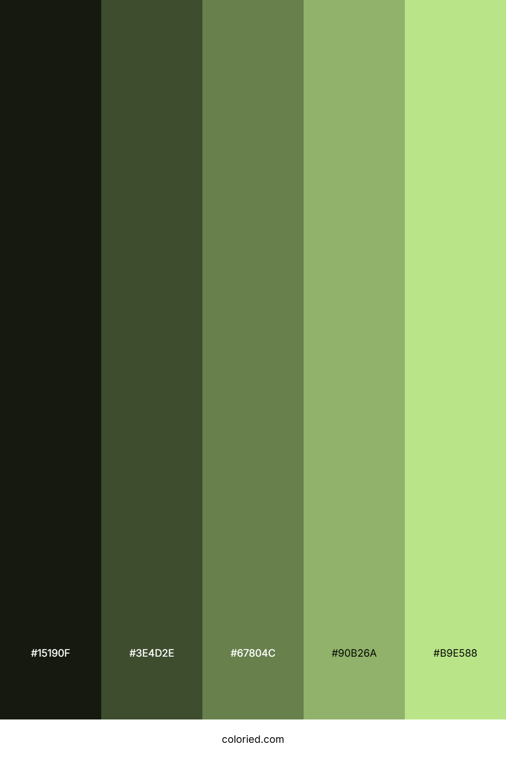 Shadowed Woodland Fern Palette
