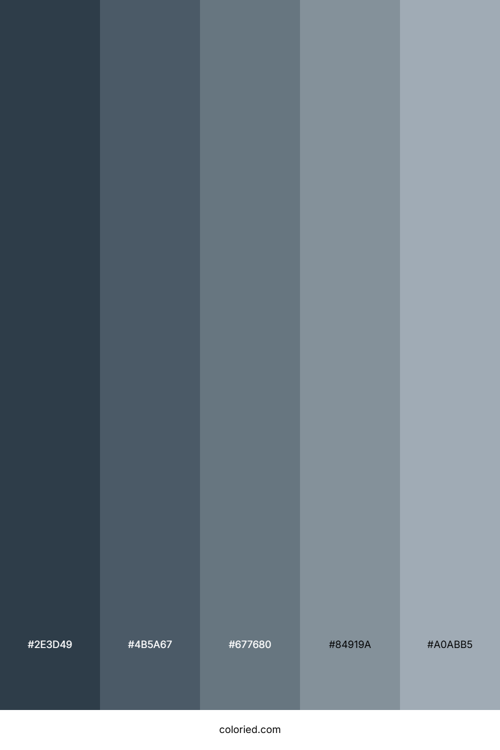 Shark Color Palette