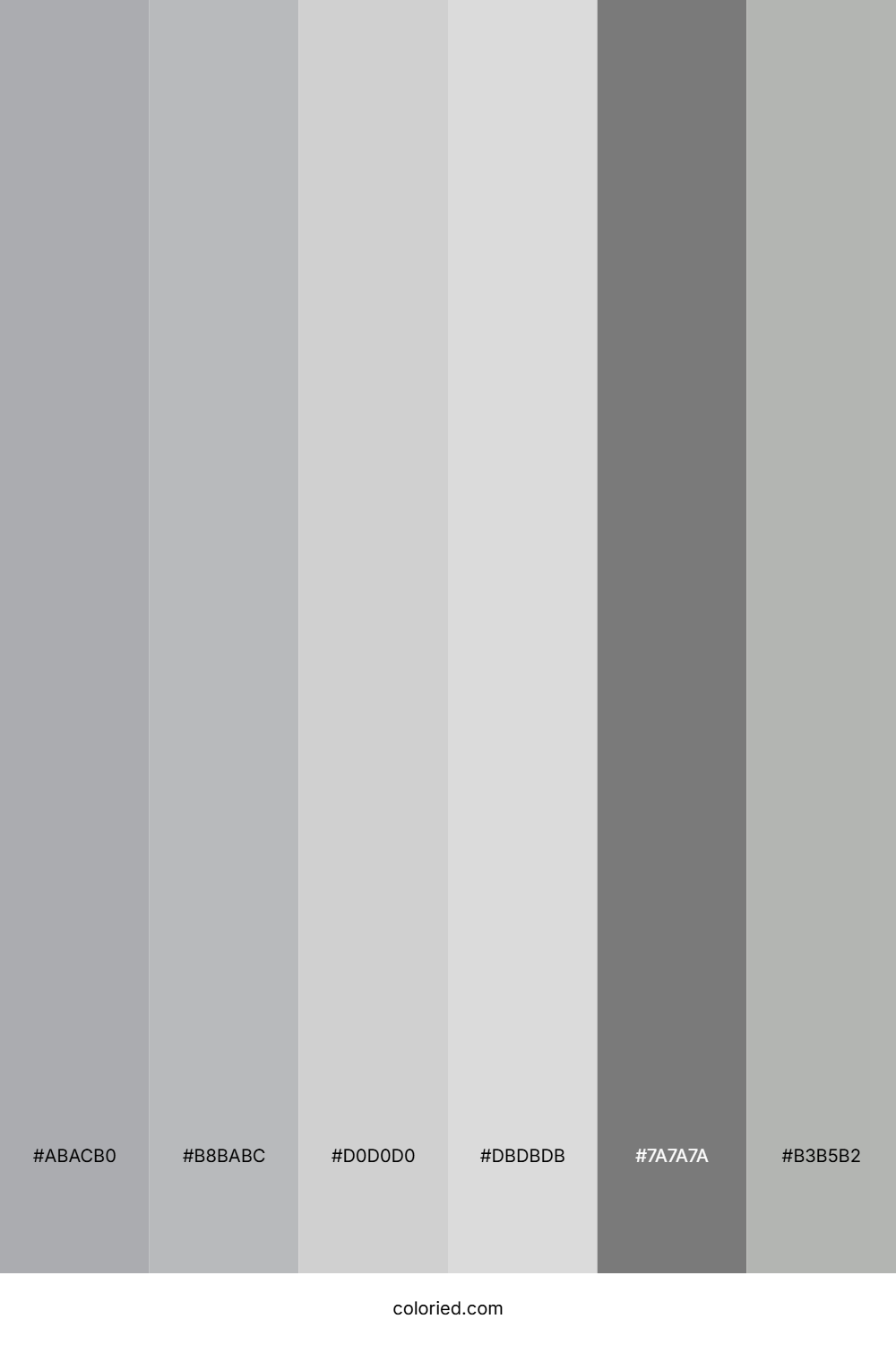 Shiny Silver and Light Gray Color Palette
