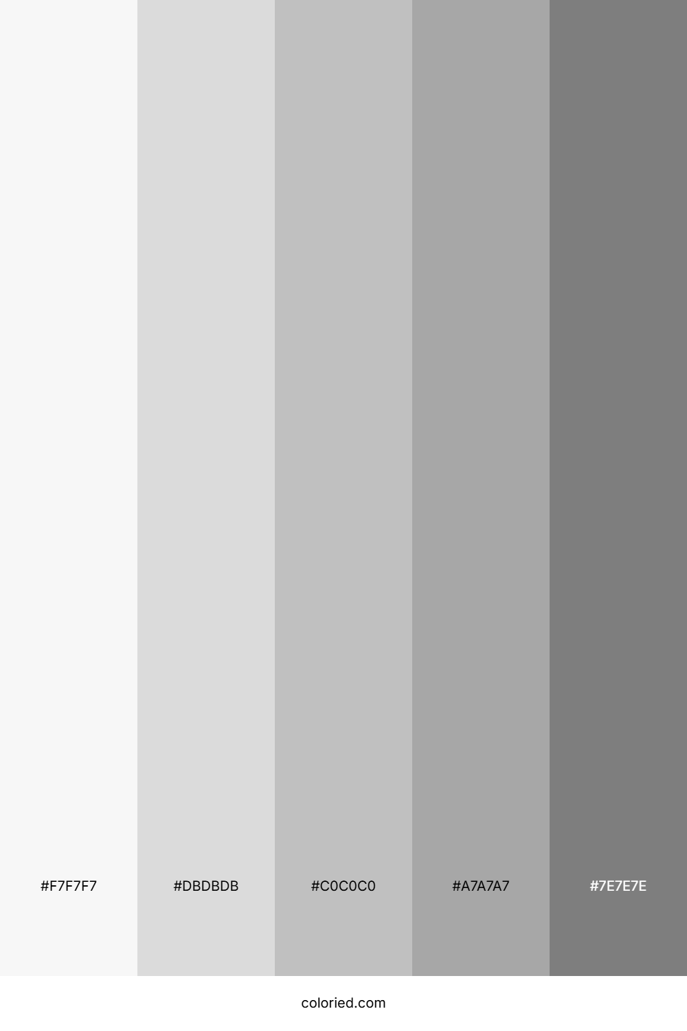 Shiny Silver Color Palette