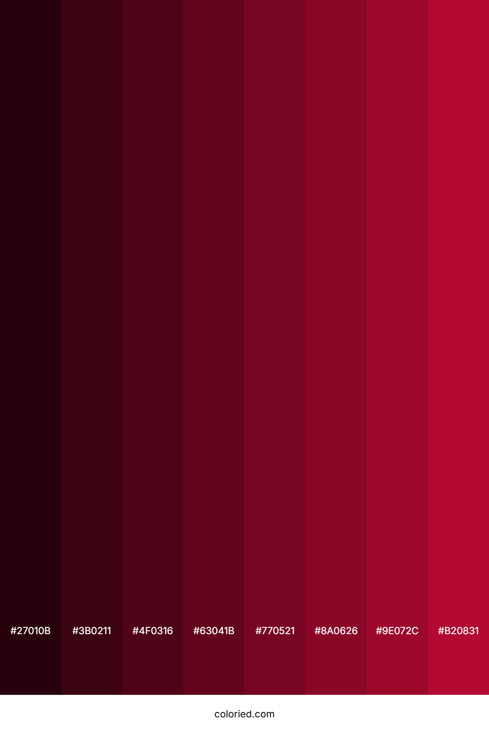 Shiraz Color Shades