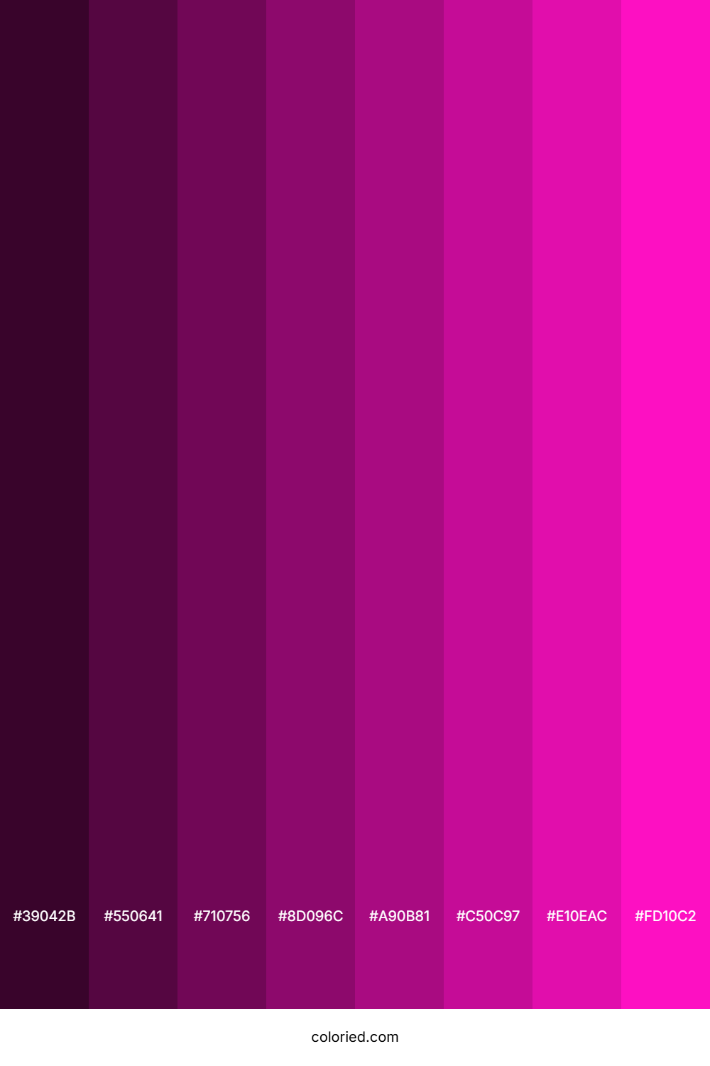 Shocking Pink Color Shades
