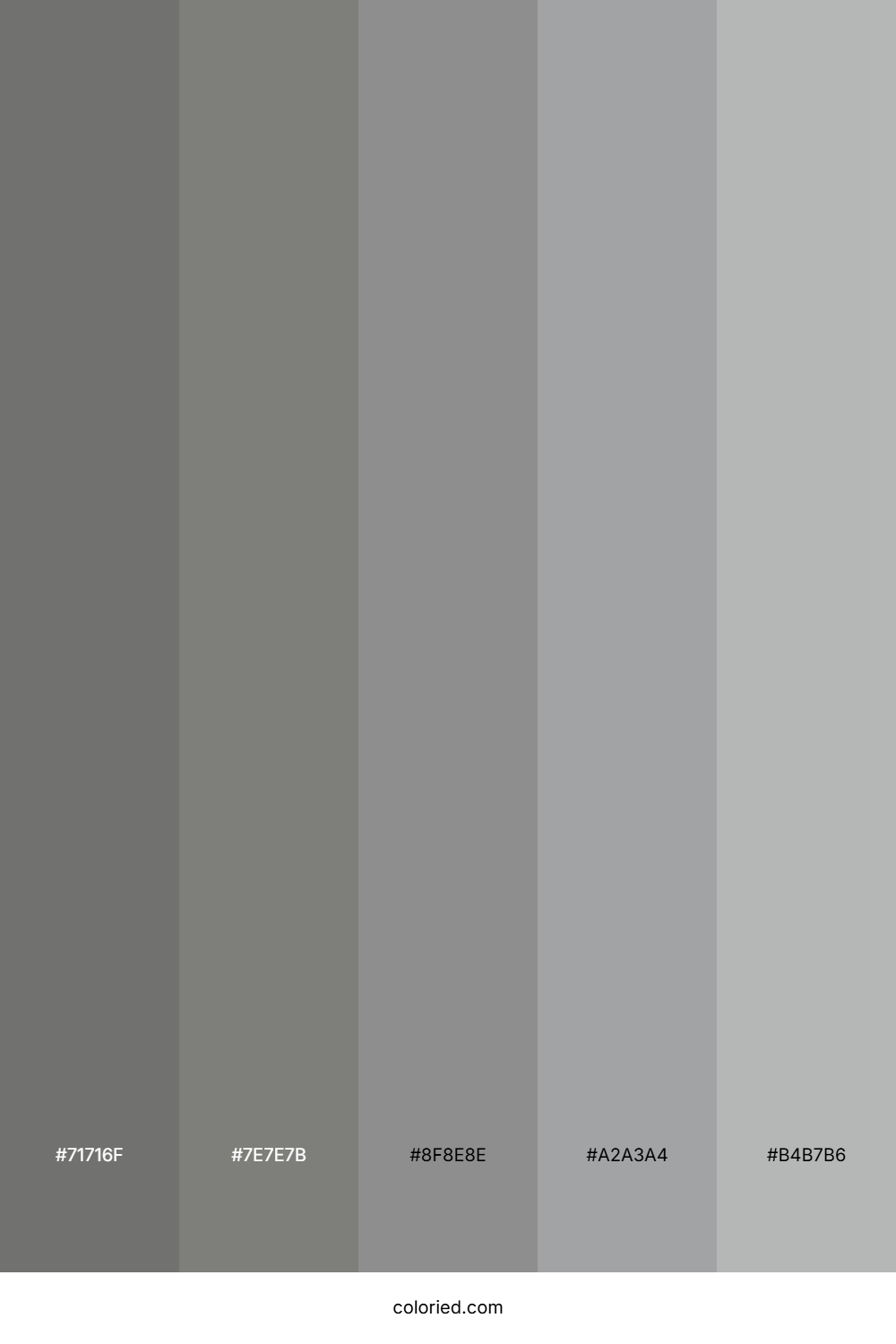 Silver And Light Gray Color Palette