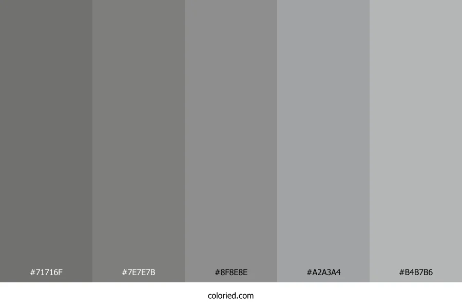 Silver and Light Gray Color Palette