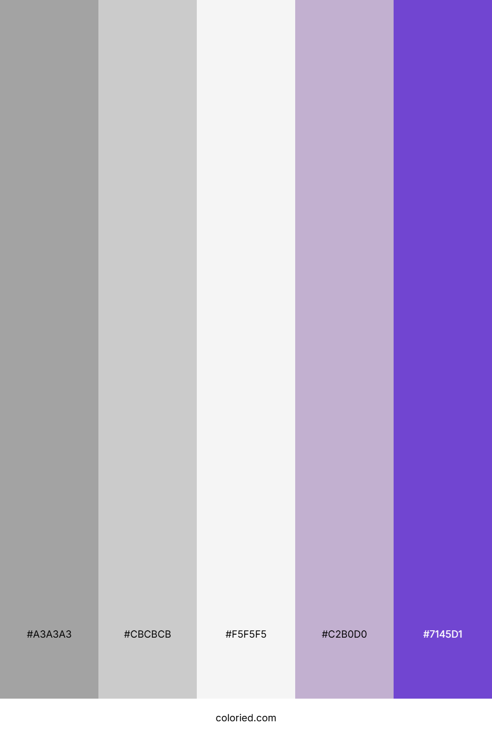 Silver And Violet Color Palette