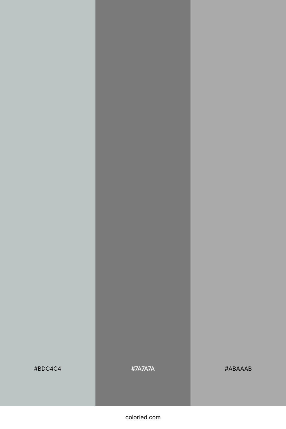 Silver Gray and Charcoal Color Palette