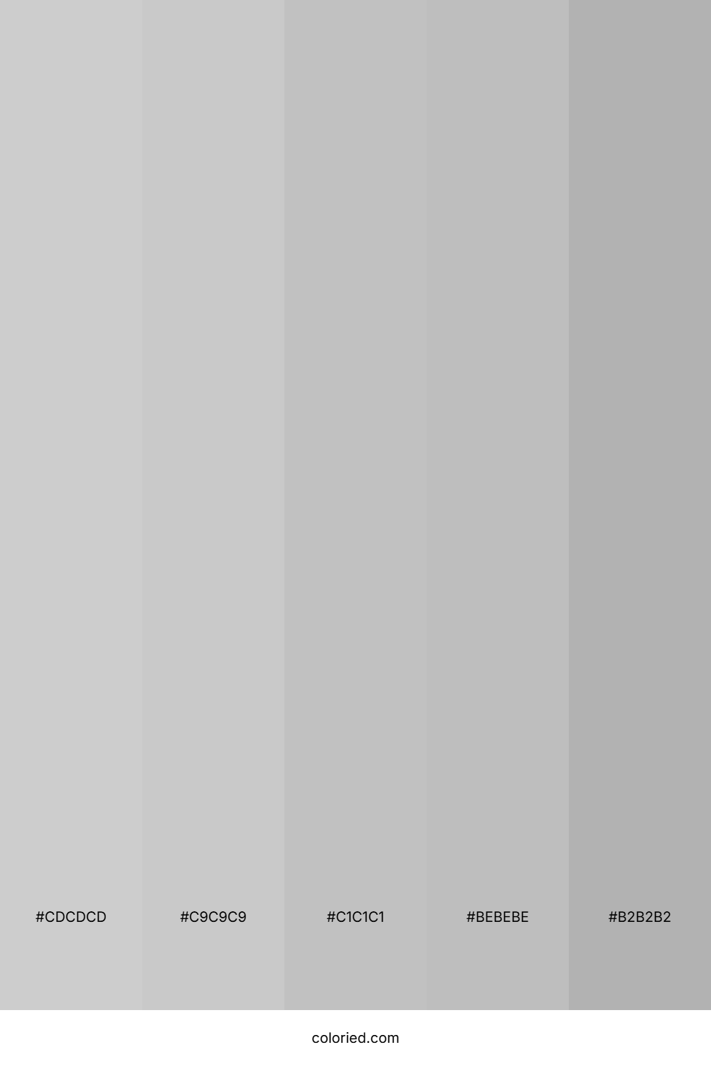 Silver Gray and Light Gray Color Palette