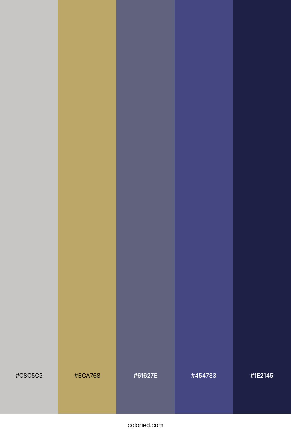 Silver Gray and Midnight Blue Color Palette