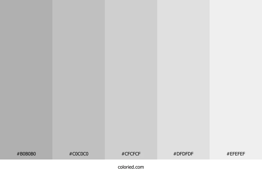 Silver Gray Color Palette