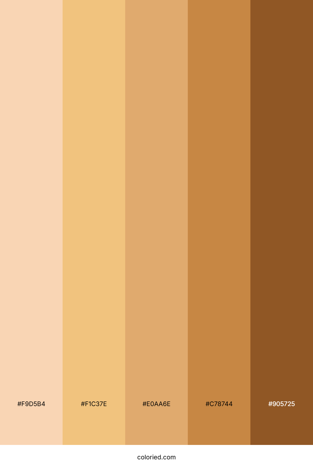 Skin Gradient Color Palette
