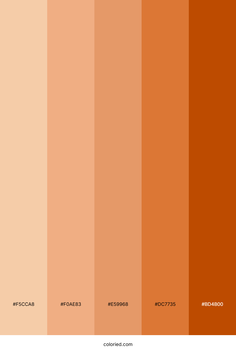 Skin tones Color Palette
