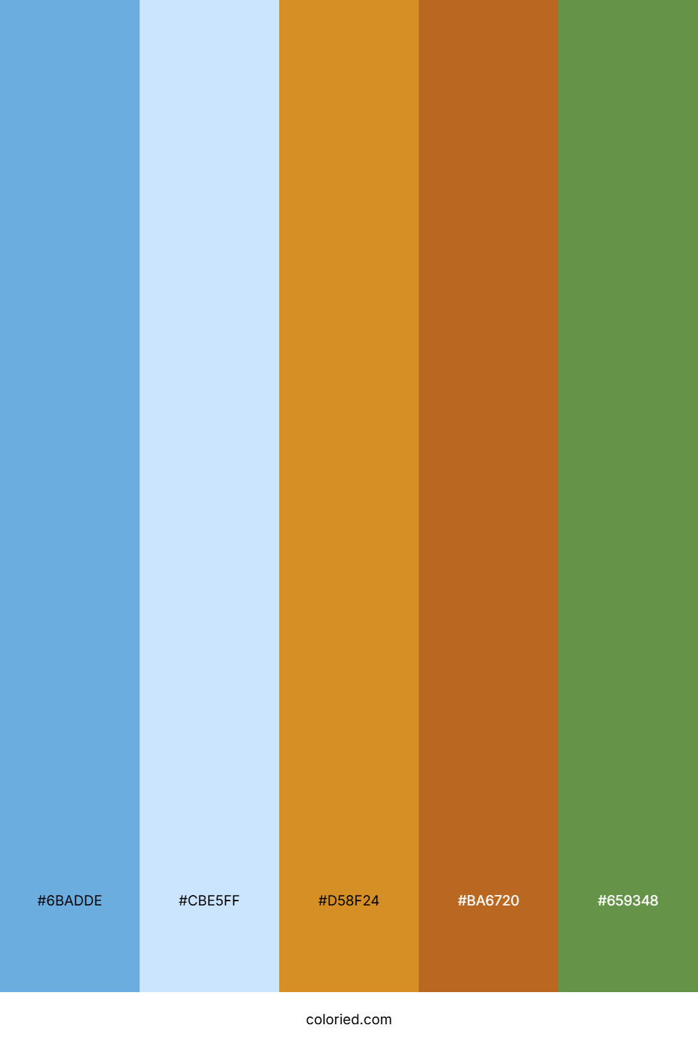 Sky Amber Forest Color Palette
