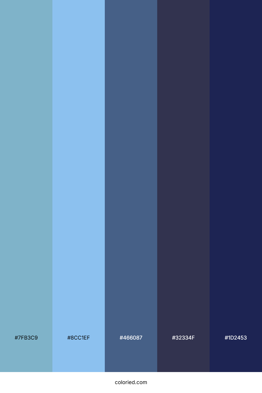 Sky Blue and Deep Navy Color Palette