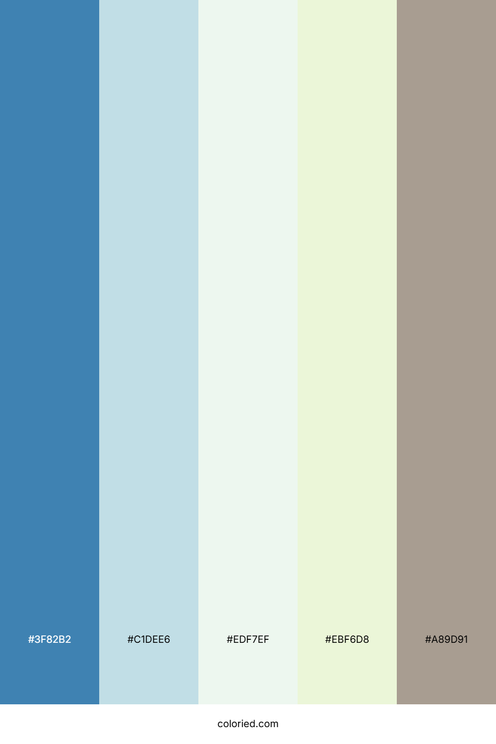 Sky Harbor Moss Palette