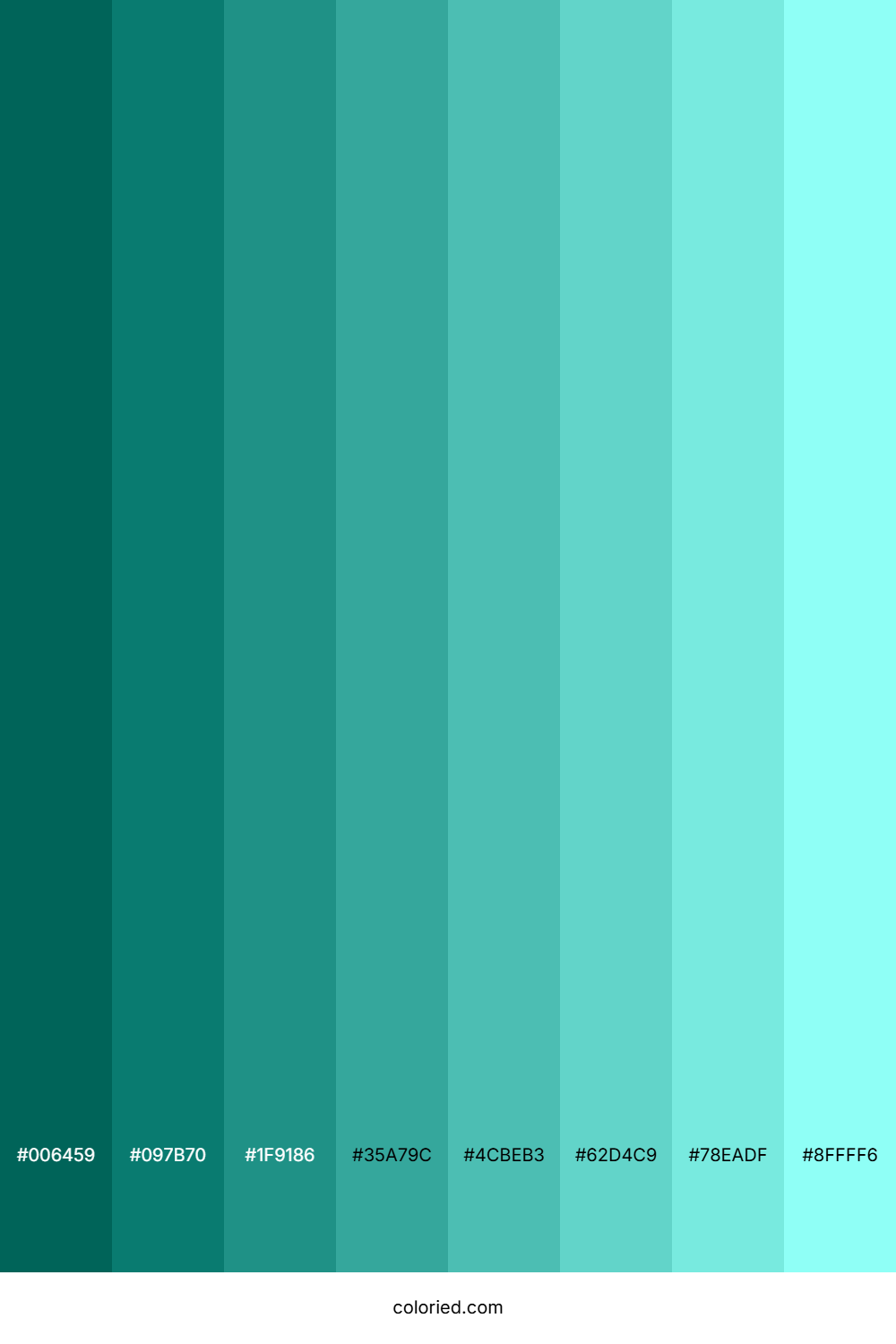 Sky Teal Shades