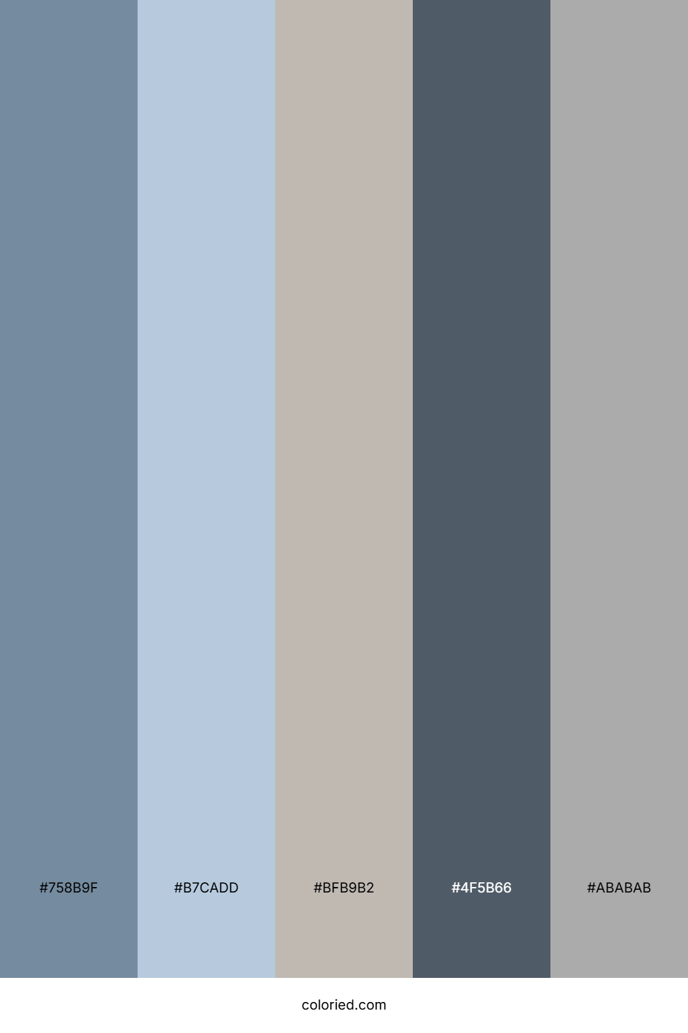 Slate and Cloud Color Palette