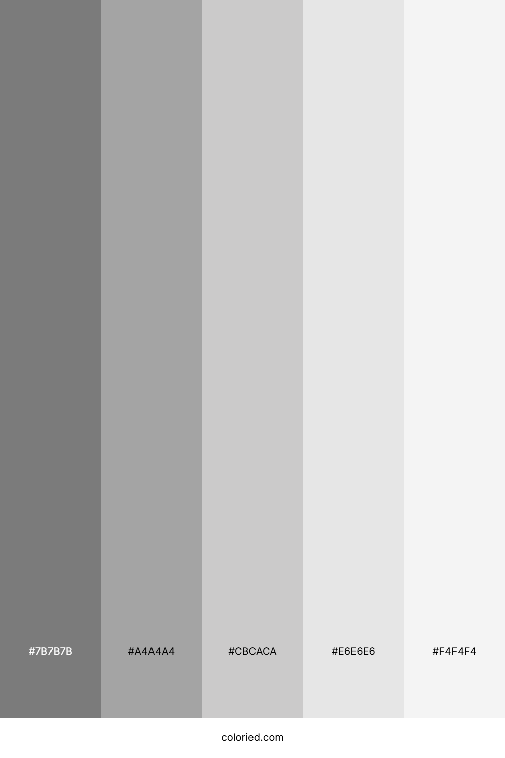 Slate and Silver Color Palette