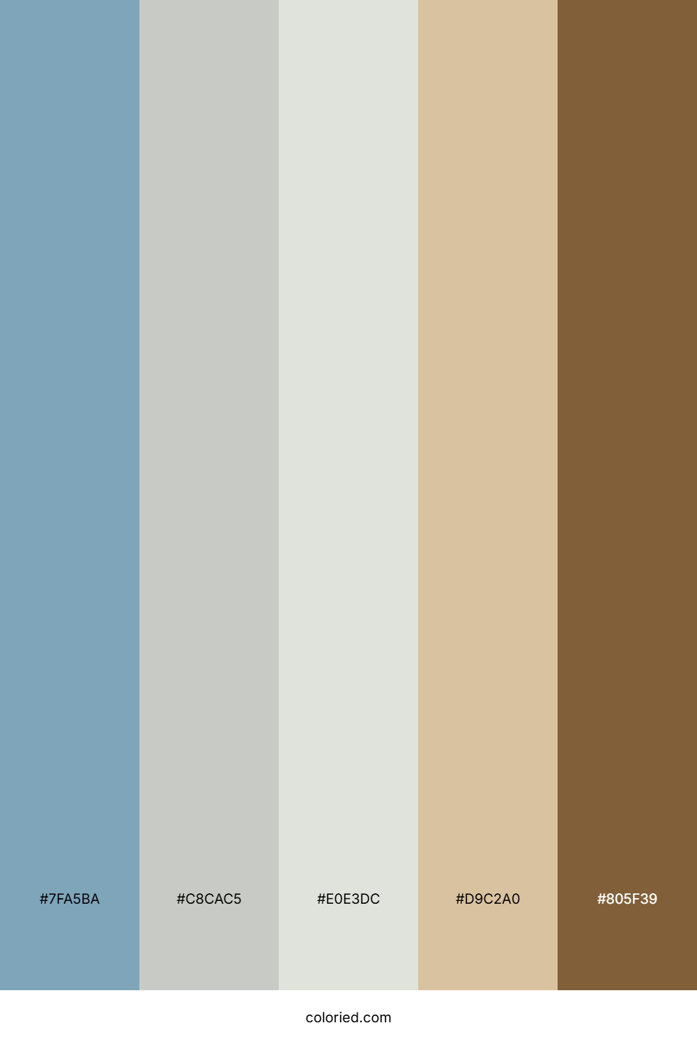 Slate Driftwood Sun Color Palette