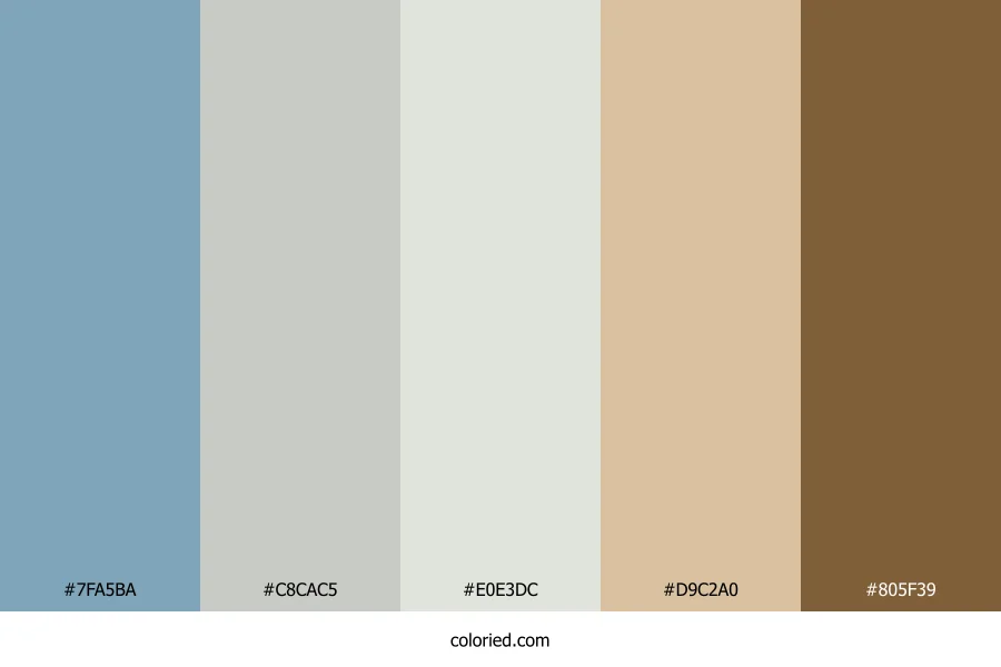 Slate Driftwood Sun Color Palette