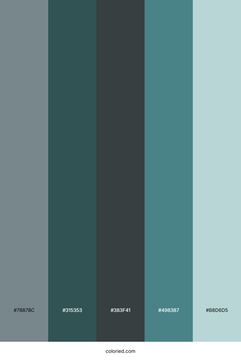 Slate Forest Tide Color Palette