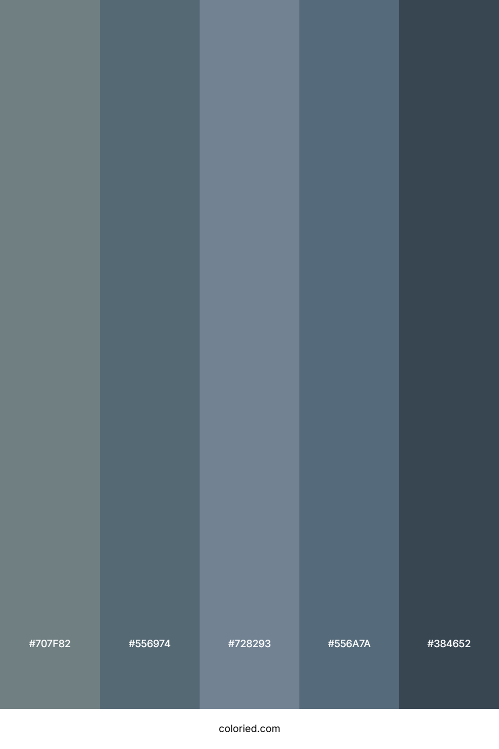 Slate Gray and Blue Gray Color Palette