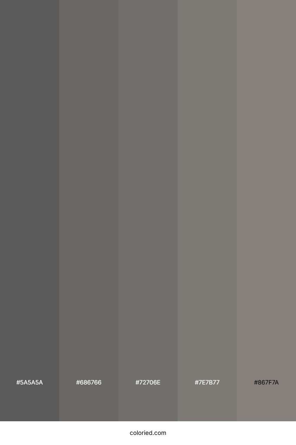 Slate Gray And Charcoal Color Palette