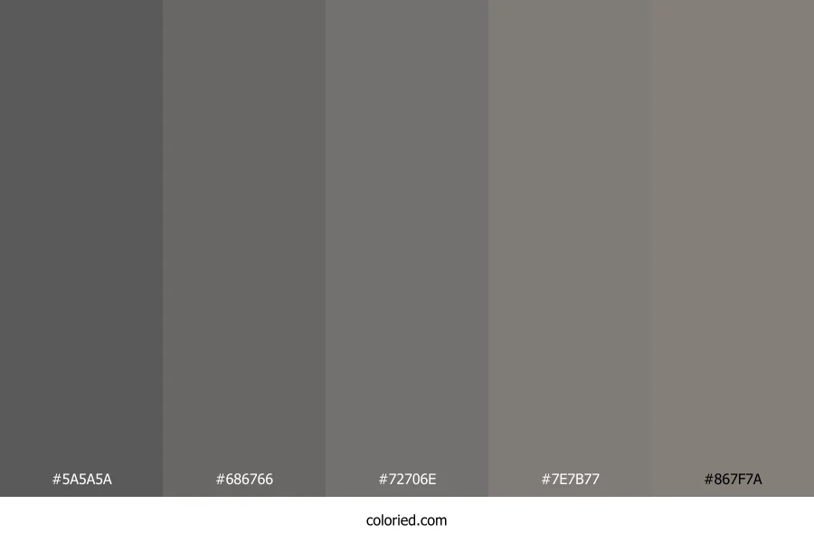 Slate Gray and Charcoal Color Palette