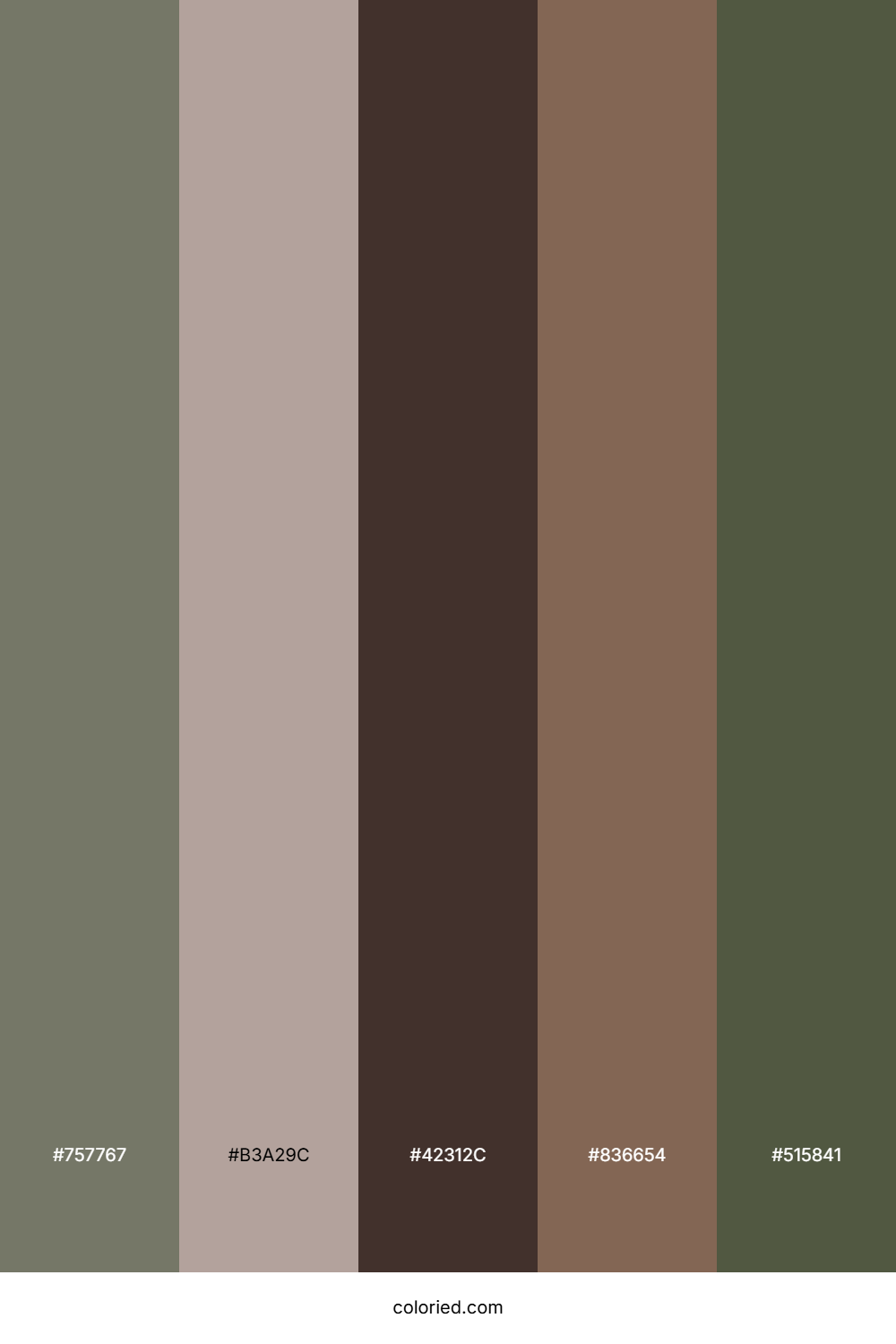 Slate Gray And Moss Color Palette