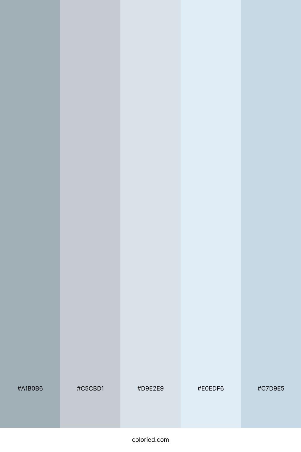 Slate Gray And Powder Blue Color Palette