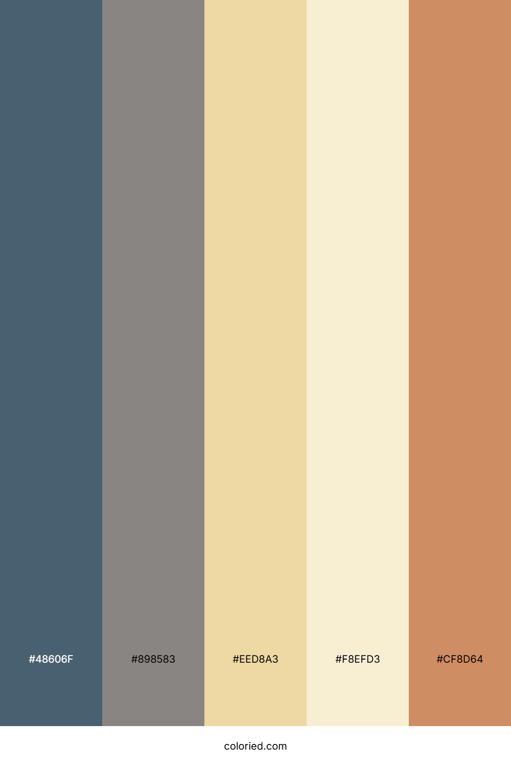 Slate Gray and Sand Color Palette
