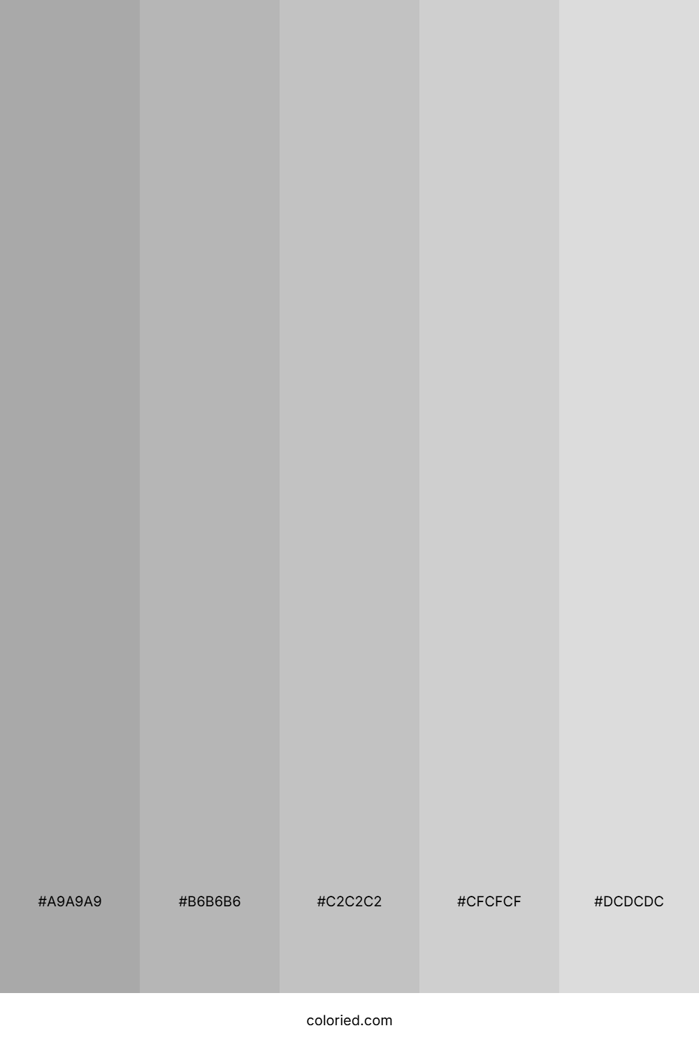 Slate Gray and Silver Color Palette