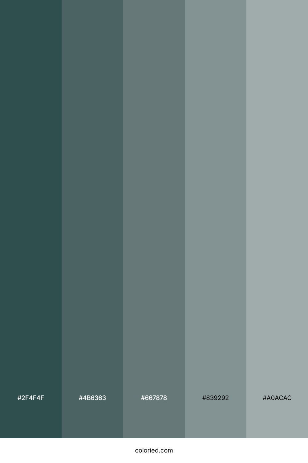 Slate Grey Color Palette