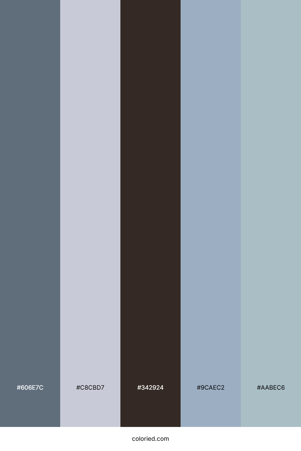 Slate Ocean Mist Color Palette