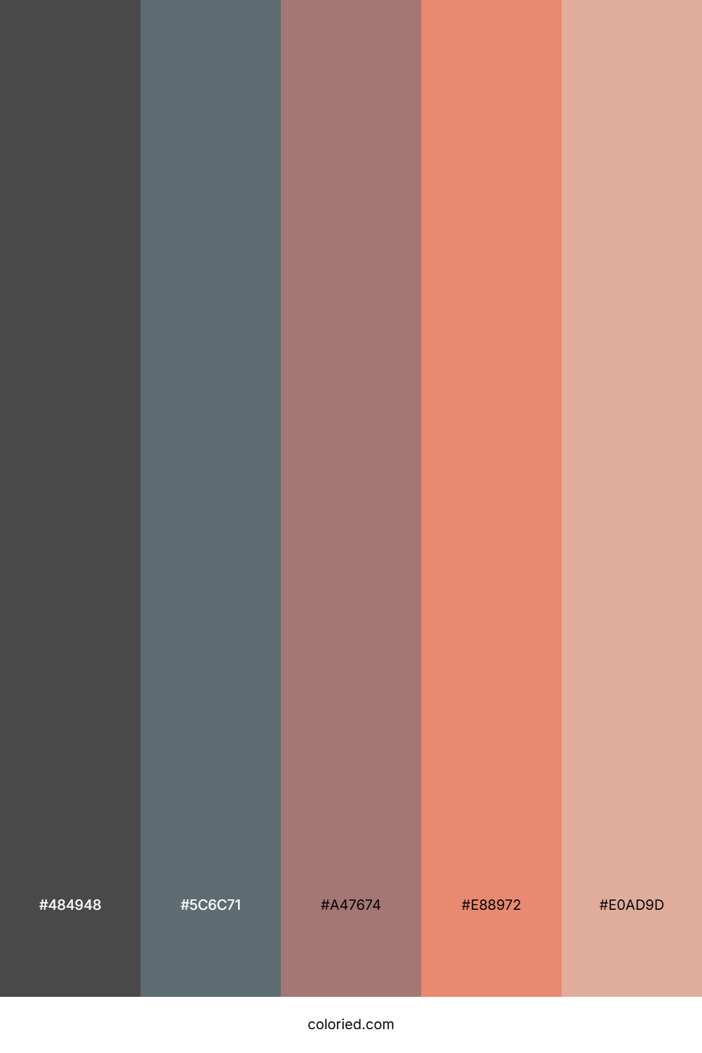 Slate Rose Mist Color Palette