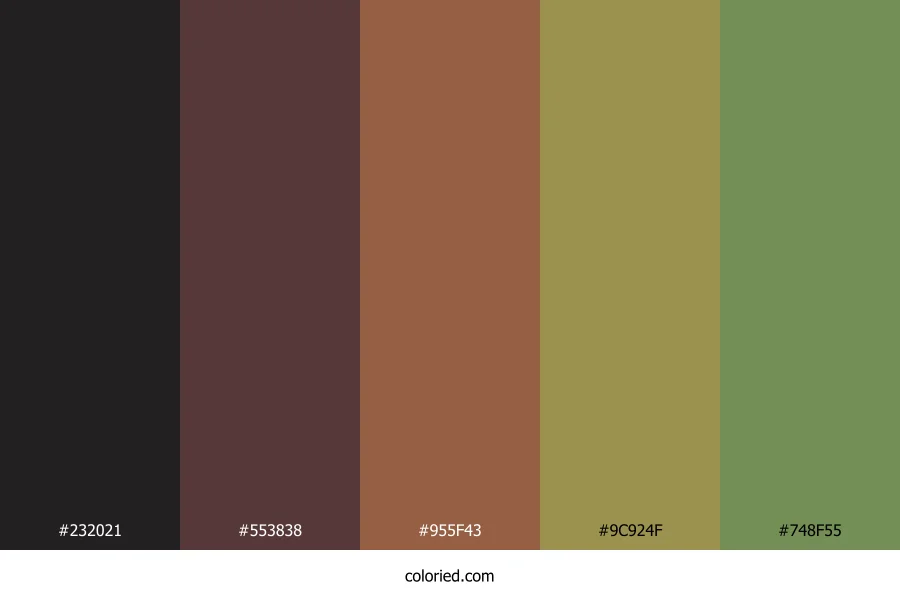 Smoky Forest Trail Color Palette