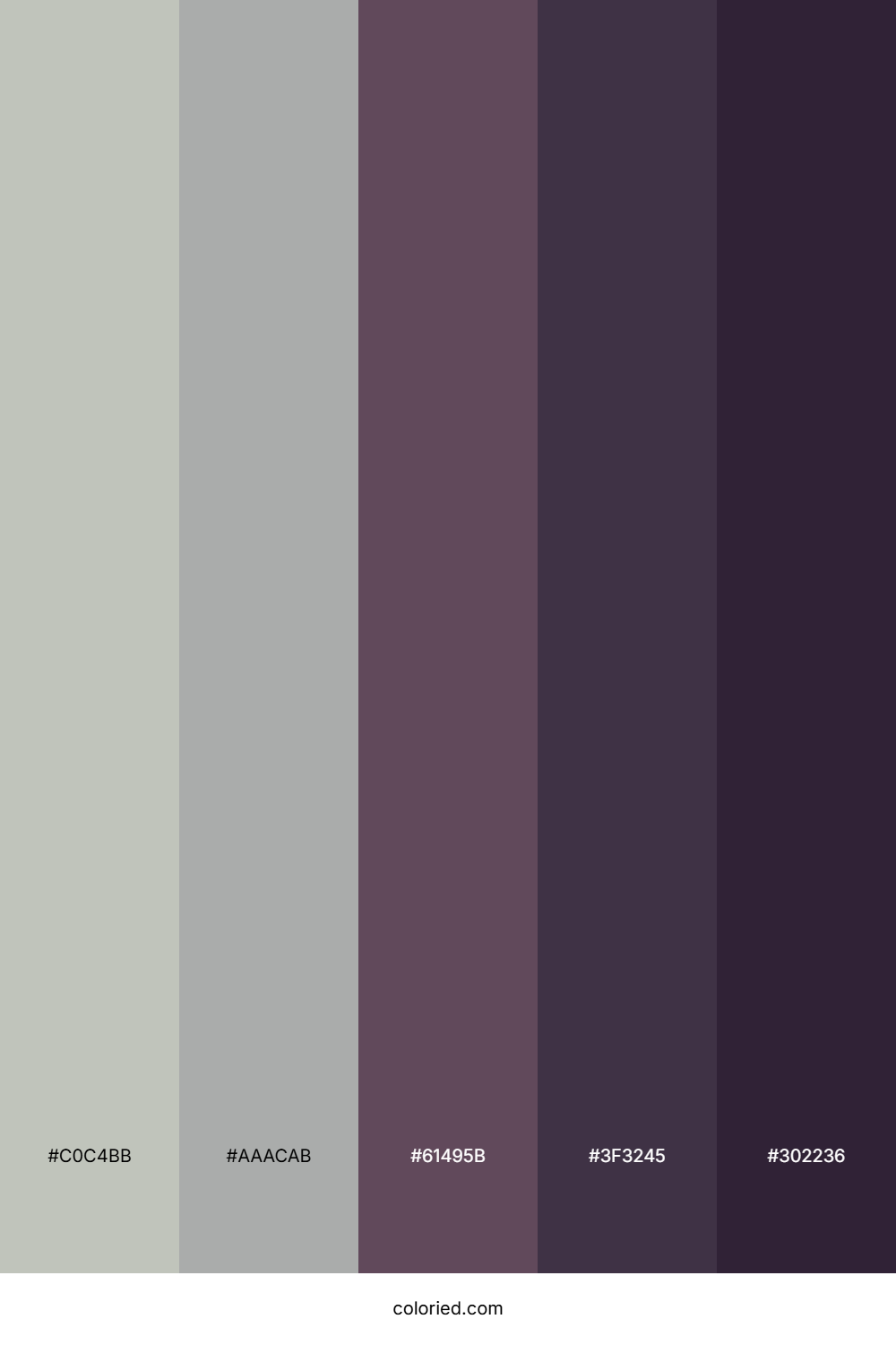Smoky Plum Shadow Color Palette