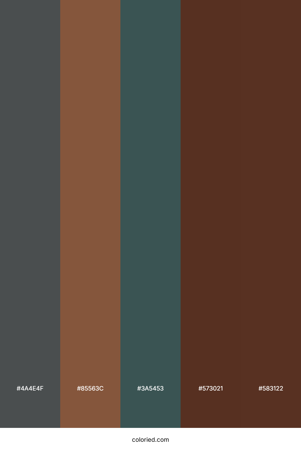 Smoky Slate Cocoa Color Palette