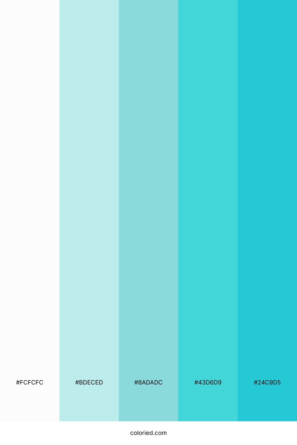 Snow and Cyan Color Palette