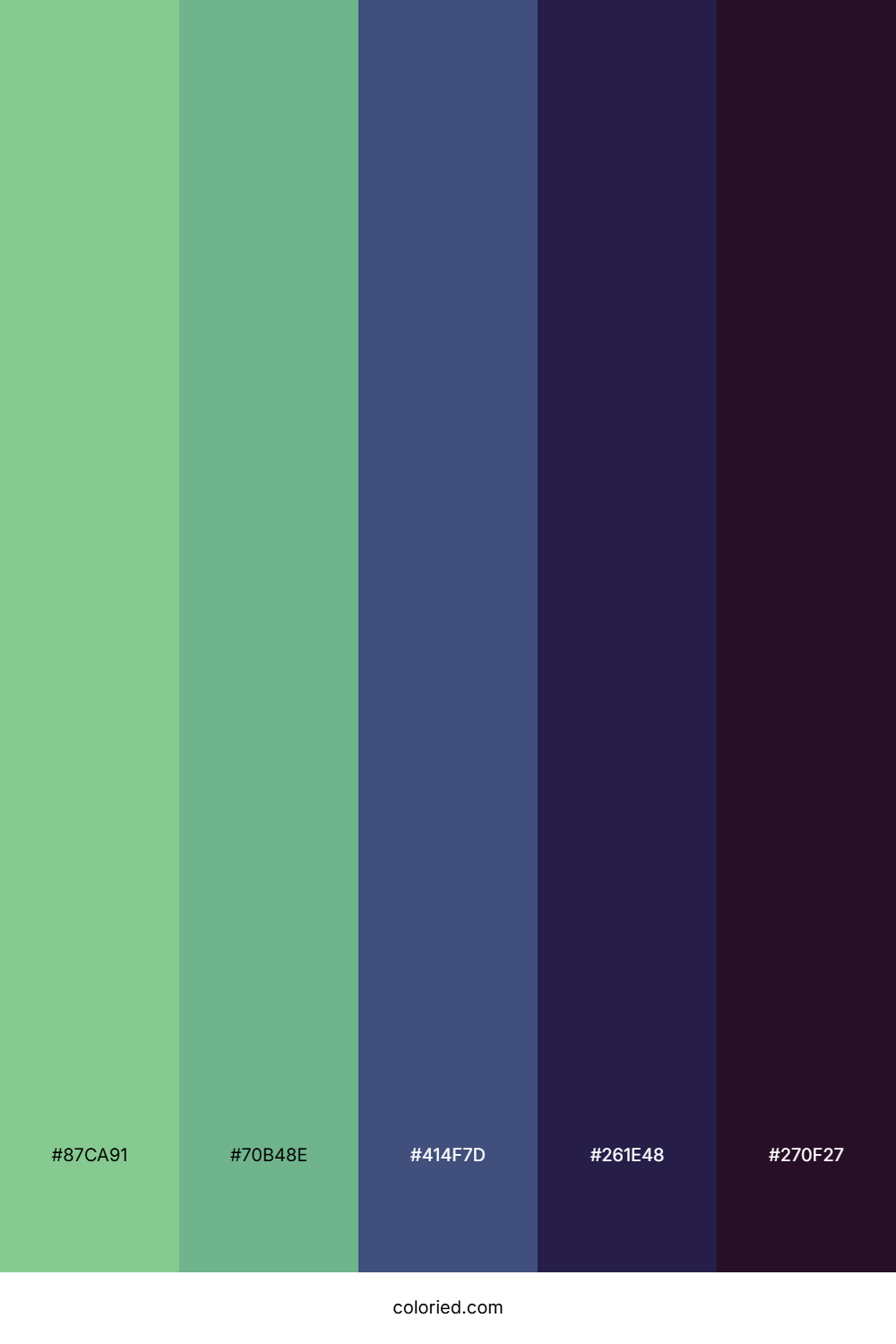 Snowbound Forest Edge Color Palette